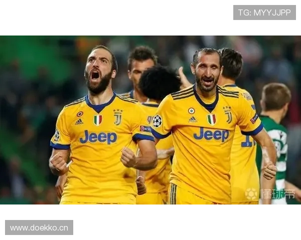 从紫百合锋霸到斑马军团支点：弗拉霍维奇的角色转变